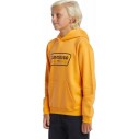 Sweatshirt Quiksilver Graphic Youth Hoodie Orange