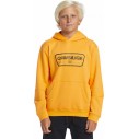 Sweatshirt Quiksilver Graphic Youth Hoodie Orange