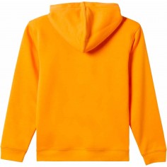 Felpa Quiksilver Graphic Youth Hoodie Orange 2