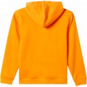 Sweatshirt Quiksilver Graphic Youth Hoodie Orange