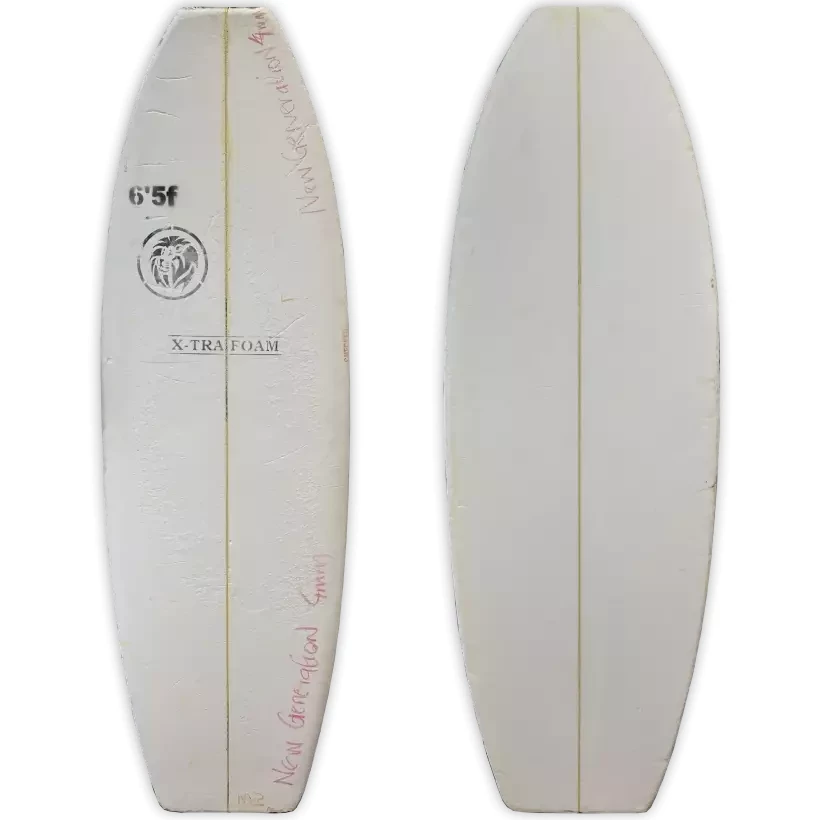 Kit shaper Fish