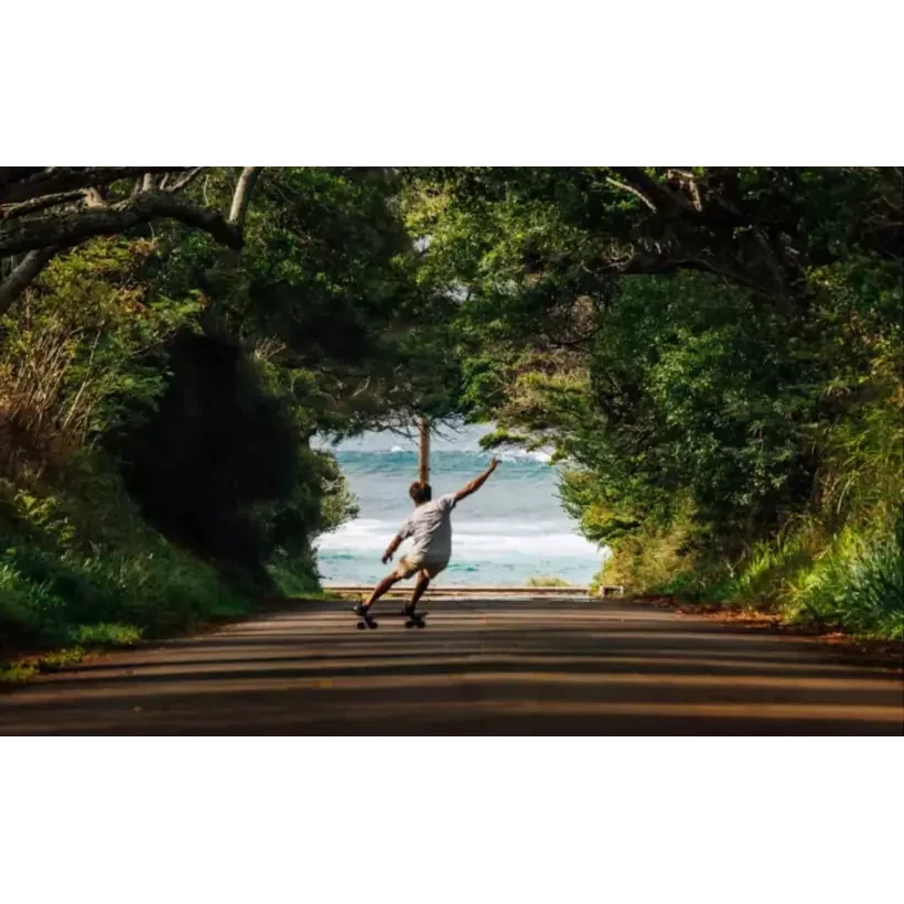 surfskate Carver Lost Quiver Killer 32'' Cx