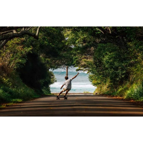 surfskate Carver Lost Quiver Killer 32'' Cx