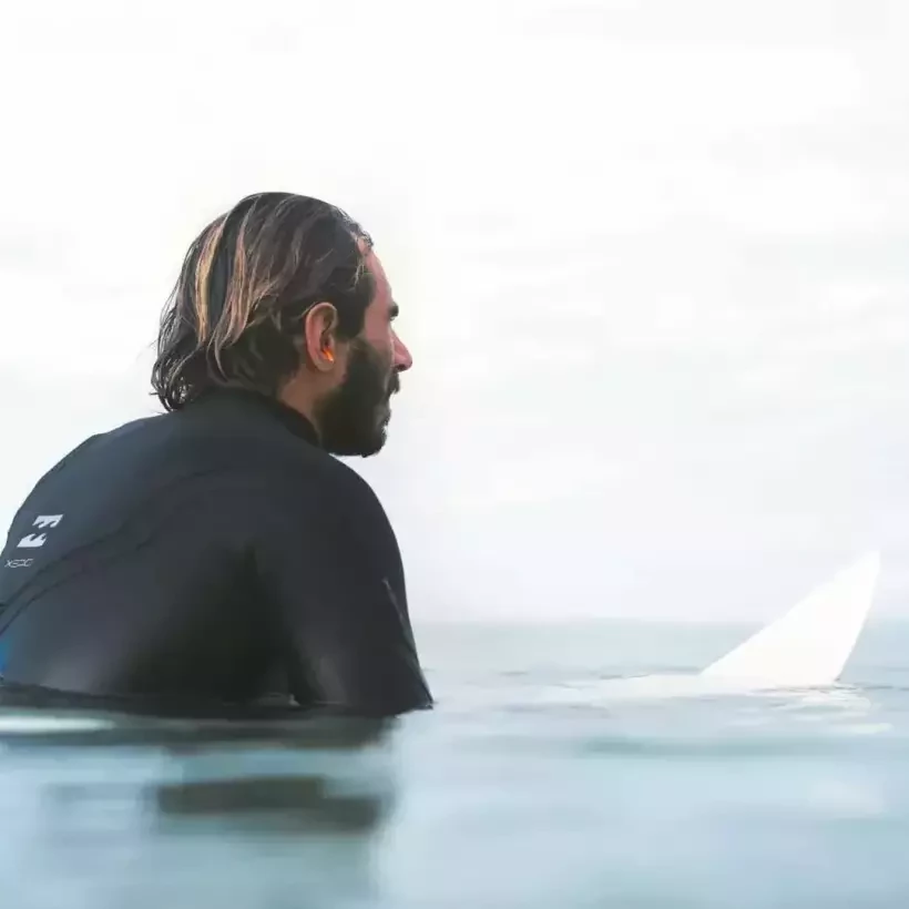 Oordoppen EQ Zeehonden Evenwicht Pro