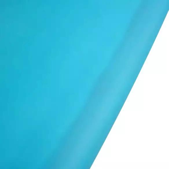 NSP funboard Protech Ocean Tint