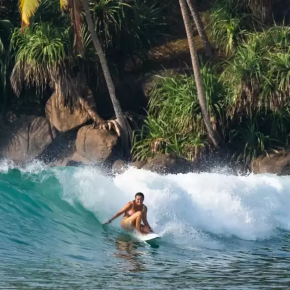 Surfboard NSP Double Vision Blue Powder Elements Surfboard NSP Double Vision Blue Powder Elements