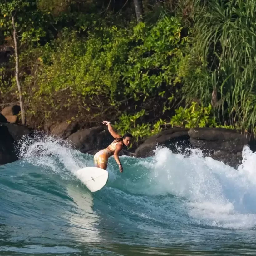 Tabla de surf NSP fish Double Vision Blue Powder