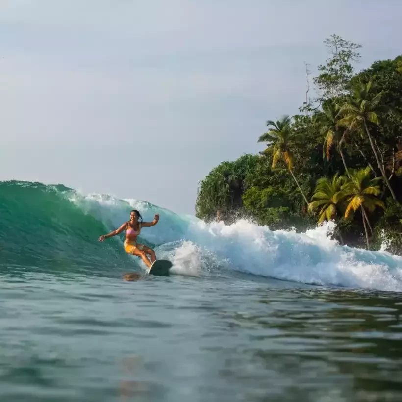 Tavola da surf NSP Element Double Vision Blue Powder