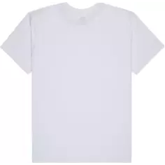 Tee Shirt quiksilver EV Comp Logo White 2