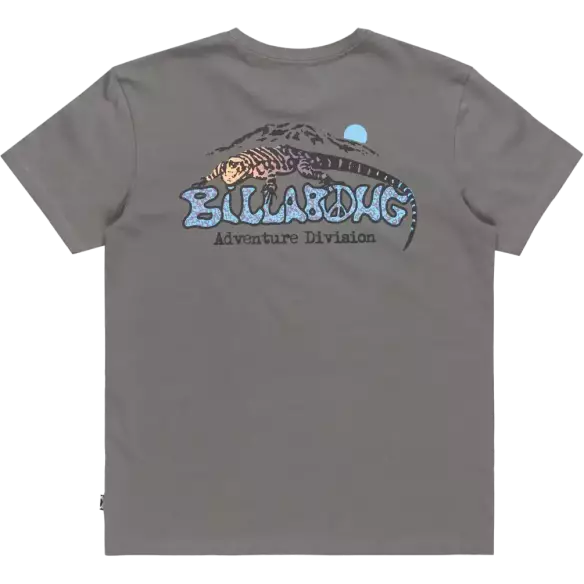Camiseta Billabong Lizard Mountain Slate Grey