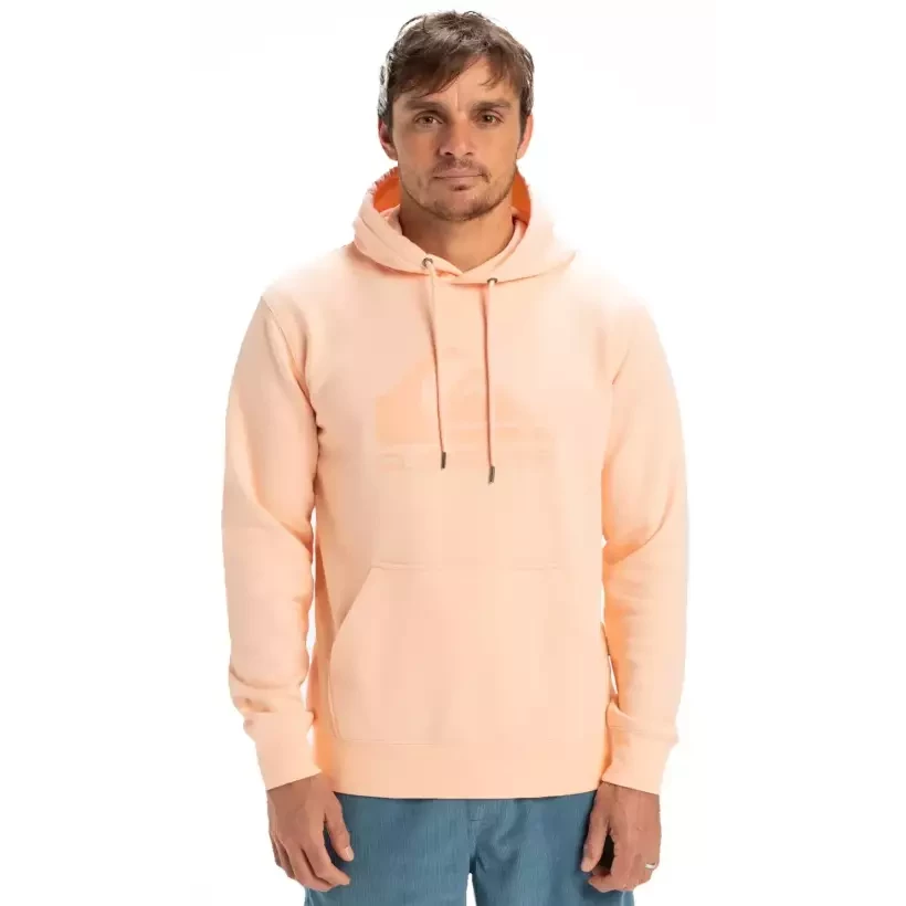 Sweatshirt Quiksilver Comp Logo Peach Parfait