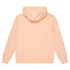 Sweat-shirt Quiksilver Comp Logo Peach Parfait 2