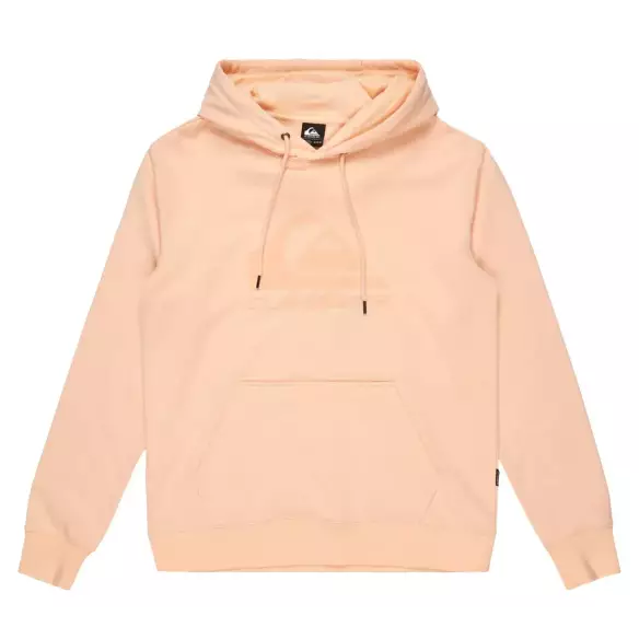 Sweatshirt Quiksilver Comp Logo Peach Parfait