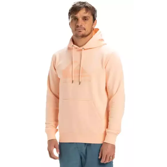 Sweatshirt Quiksilver Comp Logo Peach Parfait