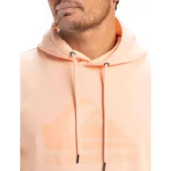 Felpa Quiksilver Comp Logo Peach Parfait
