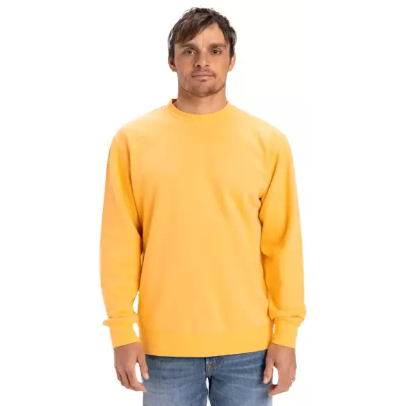 Sudadera Quiksilver Salt Water Crew Chamois