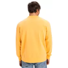 Sweat-shirt Quiksilver Salt Water Crew Chamois 2