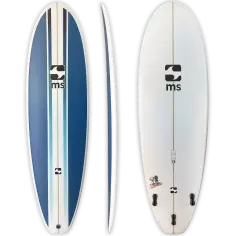 Surfbrett evolutionäre MS Easy Pony 2