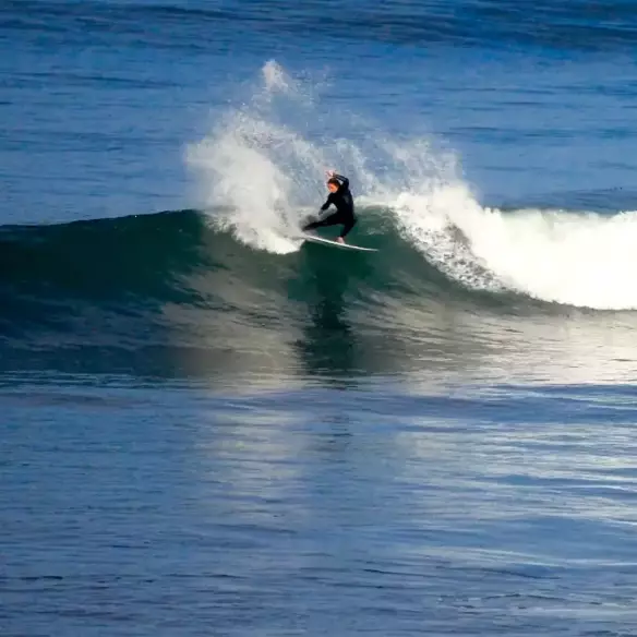 Tavola de surf Firewire Dominator Pro