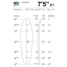 Schiuma Teccel Funboard