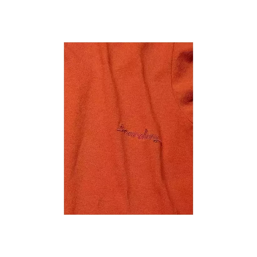 Rip Curl Searchers crafte T-Shirt Terracota