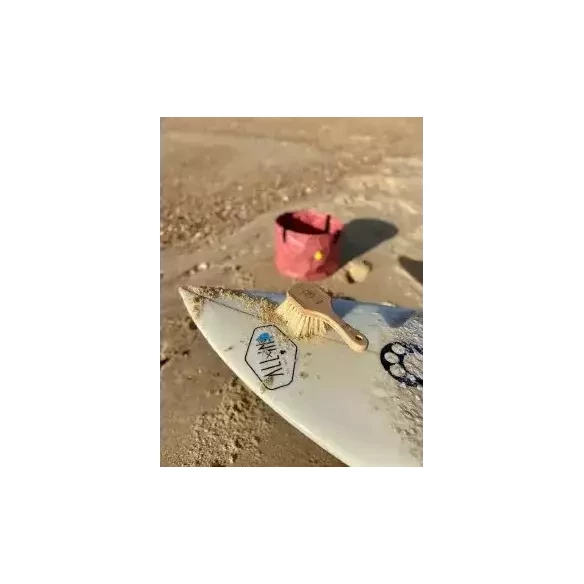 Proclean ALL-IN SANDY BRUSH