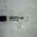 FCS Dayrunner cover Fish Alpine