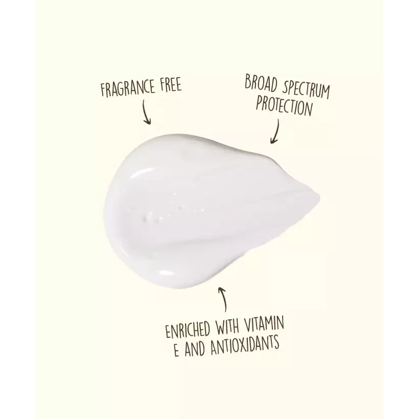 Sun Bum Original SPF 50 Face Sunscreen
