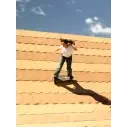 Surfskate Slide Swallow 33'' Kaolin