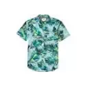 Camisas