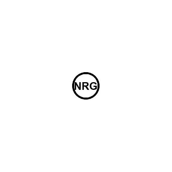 NRG Bodyboards 