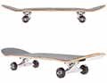 Skateboard completi